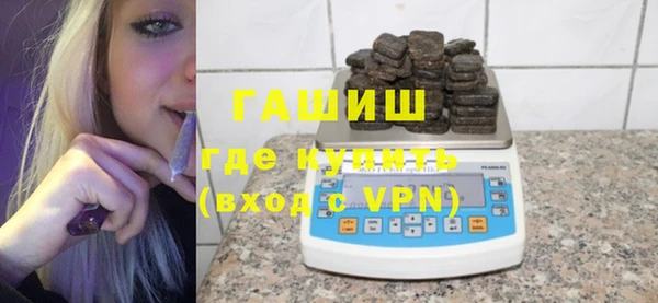 индика Богородицк