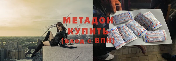 индика Богородицк