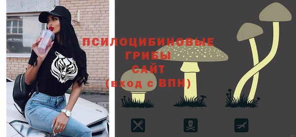 индика Богородицк