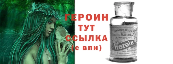 индика Богородицк