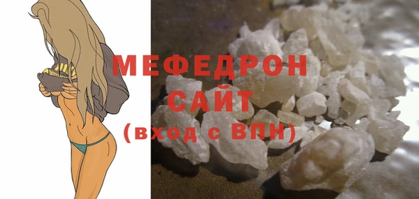 индика Богородицк