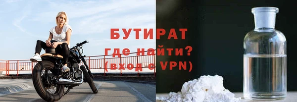 индика Богородицк