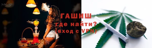 индика Богородицк