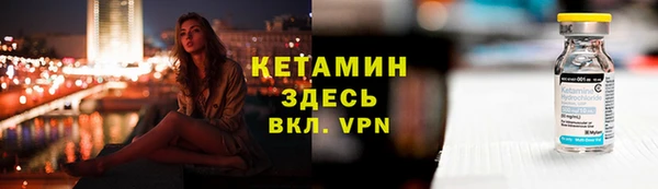 индика Богородицк