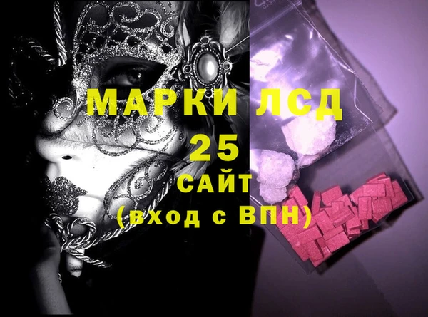 индика Богородицк