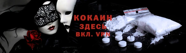 индика Богородицк