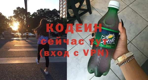 индика Богородицк