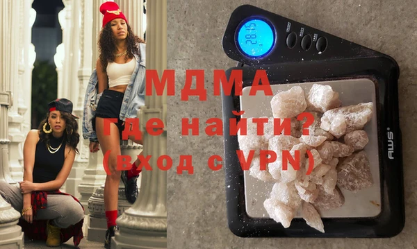 индика Богородицк