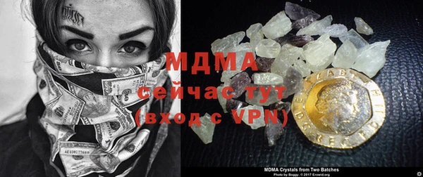 индика Богородицк