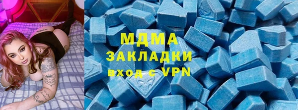 индика Богородицк