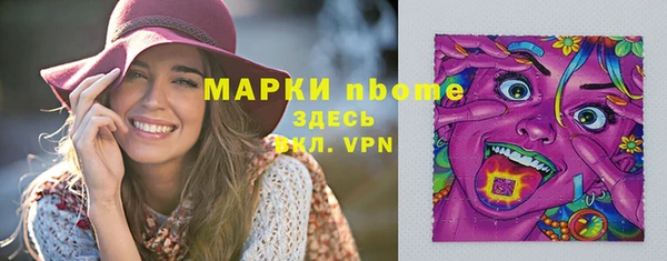 индика Богородицк