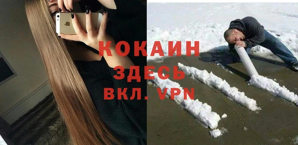 индика Богородицк