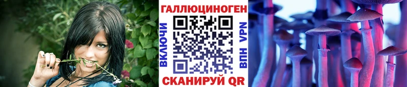 Псилоцибиновые грибы прущие грибы  Мончегорск 